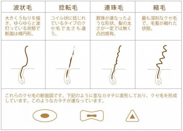 プロが解説 髪質改善 縮毛矯正 普通のトリートメントの違いは プロが解説 髪質改善 縮毛矯正 普通のトリートメントの違いは